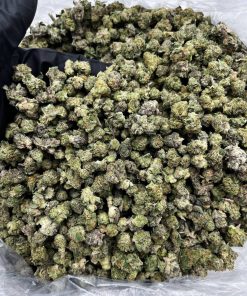 Purple Cream Smalls strain