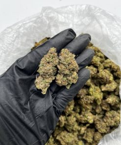 Purple Jetlato strain