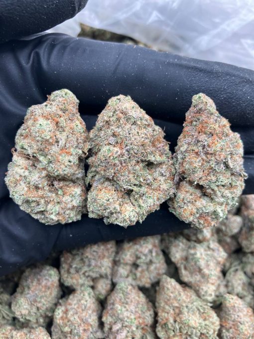 Rainbow Fritters Strain