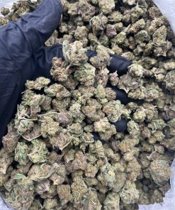 Rainbow Gelato Smalls strain