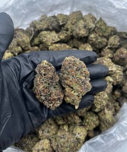 Rainbow Gelato strain