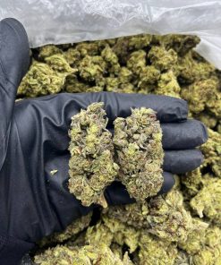 Rainbow Snow Cone strain