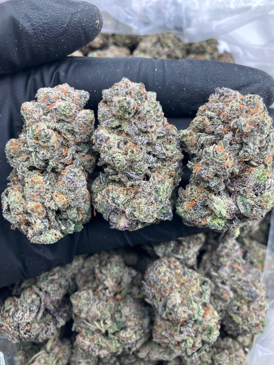 Rainbow Truffles Strain Puff LA Official