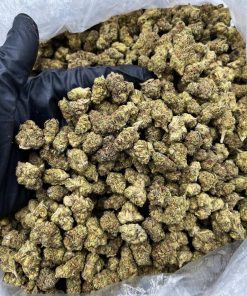 Slurty Smalls strain