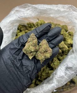 Sprinkle Cake Strain