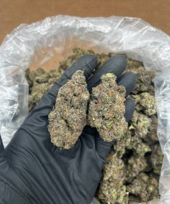 Strawberries N Cream Strain