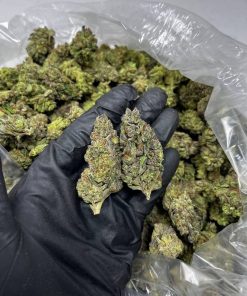 Strawberry Cough Strain