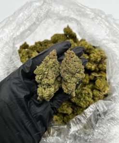 Strawberry Daiquiri Strain