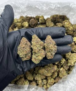 Strawberry Milk Strain