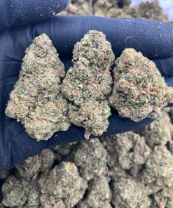 Super Glue x OG Strain