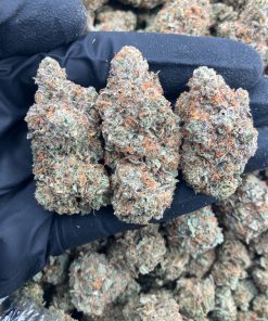 Supreme Runtz Strain