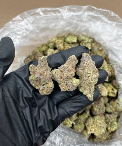 Tangerine Sherbert Strain