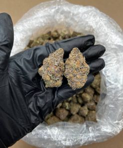 Thin Mint Cookies Strain