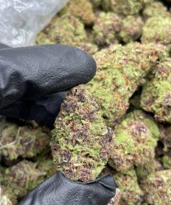 Tropaya Punch Strain