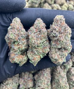 Ube Ice Cream Strain