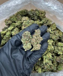 White Cherry Pie Strain