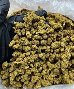 White Gelato Smalls strain