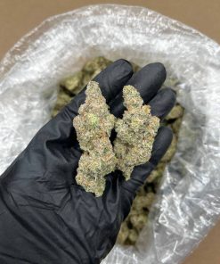 White Gummy Bear Strain